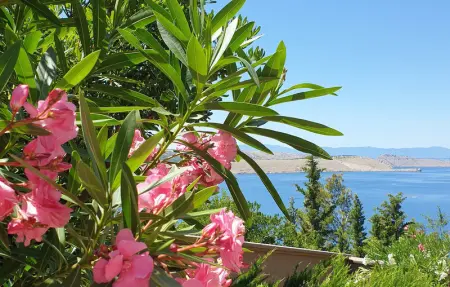 Location Appartement 6 personnes à Jadranovo - Photo 13