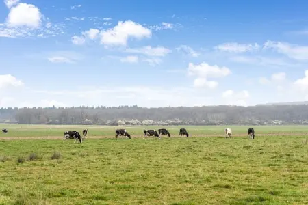 Le chausson, Gite 6 personnes à Beauraing - Photo 32