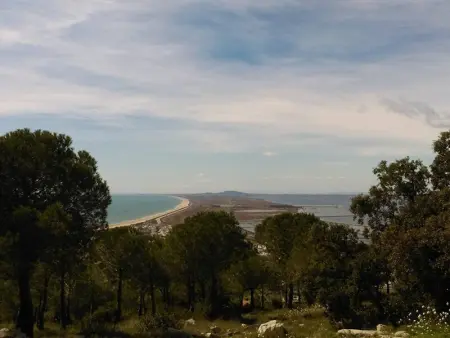 Appartement climatisé 4/6 personnes avec parking à Sète - Photo 14