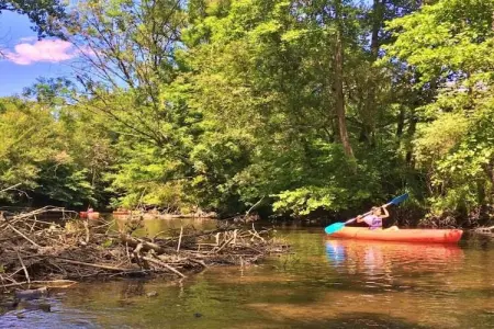La Haute Prèze 34 près de la Dordogne, Villa de luxe avec piscine chauffée sur golf avec beaucoup d'intimité et vue panoramique. - Photo 34