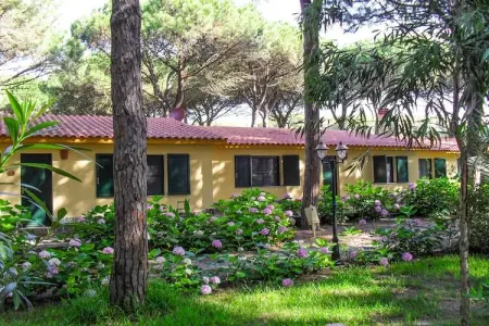 APT studio 2 camere, Maison 4 personnes à Arborea - Photo 10