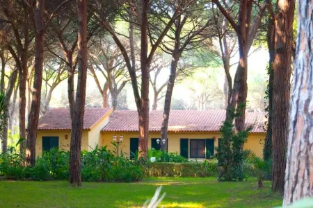 APT studio 2 camere, Maison 4 personnes à Arborea - Photo 11