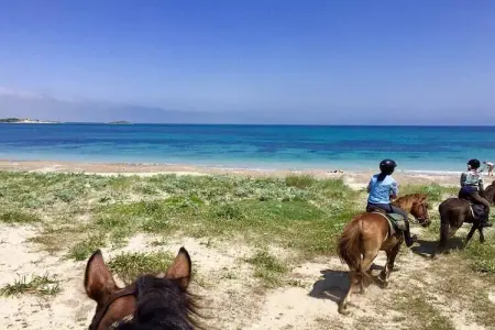 APT studio 2 camere, Maison 4 personnes à Arborea - Photo 25