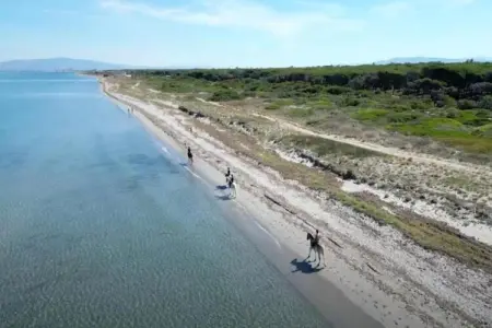 APT studio 2 camere, Maison 4 personnes à Arborea - Photo 28