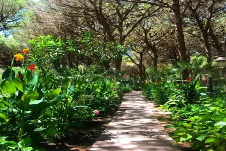 APT studio 2 camere, Maison 4 personnes à Arborea - Photo 34