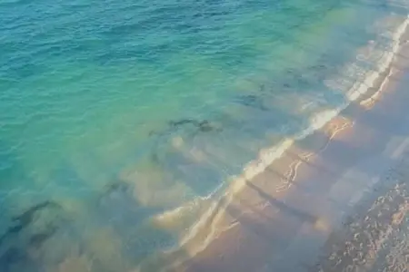 APT studio 2 camere, Maison 4 personnes à Arborea - Photo 38