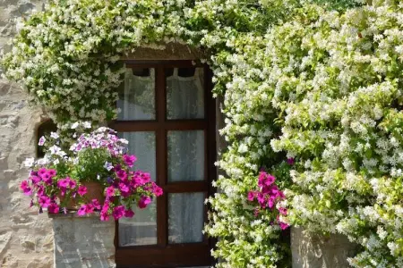 Appartamento Vista Montagna, Maison 4 personnes à Seggiano - Photo 29