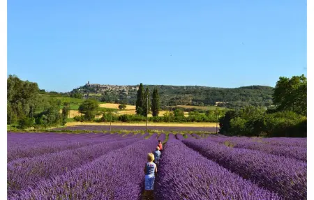 Location Maison 6 personnes à Montaren et St Mediers - Photo 27