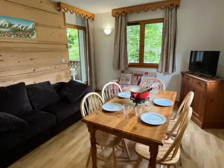 Charmant 2 Pièces Cabine avec Parking et Balcon - Résidence Le Grand Tétras à Samoëns - Photo 0