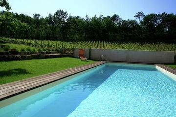 Gîte avec piscine entouré de vignes, Maison 4 personnes à Saint Cibard FR-33570-01