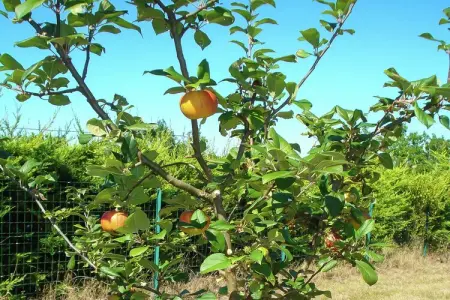 La Croix Blanche, Chalet spacieux à La Croix-Blanche avec piscine - Photo 32