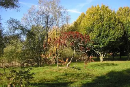 Villa Villars, Villa moderne avec sauna à Villars - Photo 32