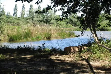 Villa Villars, Villa moderne avec sauna à Villars - Photo 37
