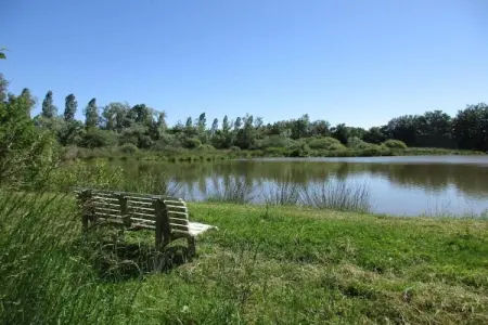 Villa Villars, Villa moderne avec sauna à Villars - Photo 38