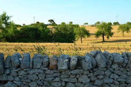 La Marcanna, Villa vintage à Ostuni (Italie), avec piscine - Photo 22