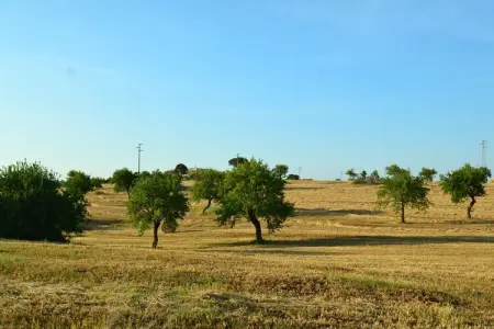 La Marcanna, Villa vintage à Ostuni (Italie), avec piscine - Photo 25