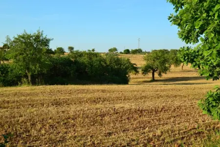 La Marcanna, Villa vintage à Ostuni (Italie), avec piscine - Photo 26