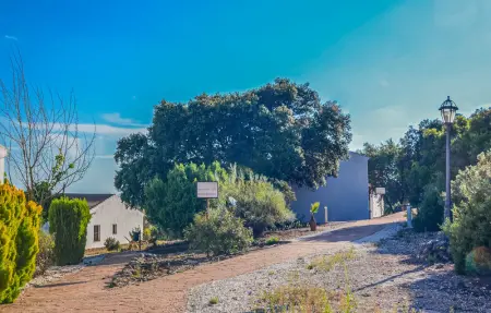 Location Maison 2 personnes à Estepa - Photo 4