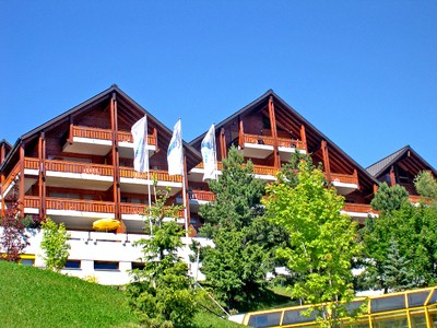Eaux Vives 206, Apartment 4 persons in Ovronnaz CH1912.150.22