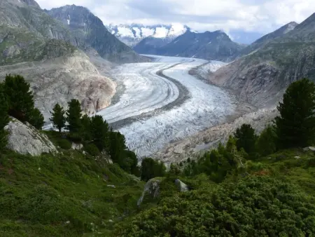 Südlenz 13 1. OG Süd-West, Appartement 4 personnes à Riederalp - Photo 13