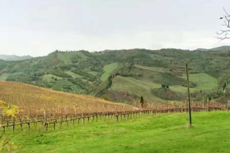 Borgata Porpora Due, Spacieux appartement dans une ferme dans la campagne avec vues spectaculaires - Photo 19