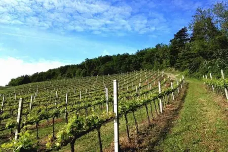 Borgata Porpora Due, Spacieux appartement dans une ferme dans la campagne avec vues spectaculaires - Photo 22