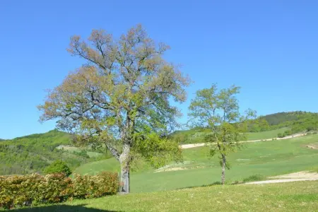 Borgata Porpora Due, Spacieux appartement dans une ferme dans la campagne avec vues spectaculaires - Photo 26