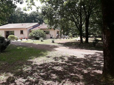 BELLE VILLA FAMILIALE SUR  TERRAIN DE 4000M², Villa 9 personnes à Vendays Montalivet FR-1-648-70