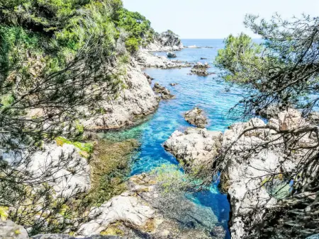 Brasil, Maison 7 personnes à Llafranc - Photo 36