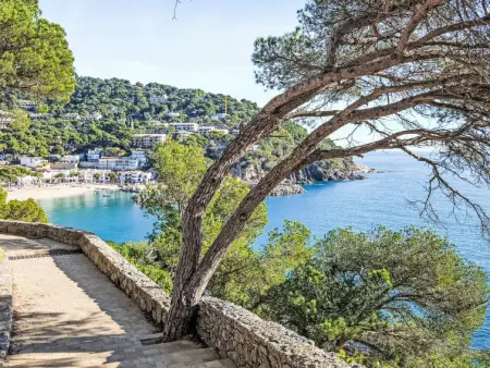 Brasil, Maison 7 personnes à Llafranc - Photo 41