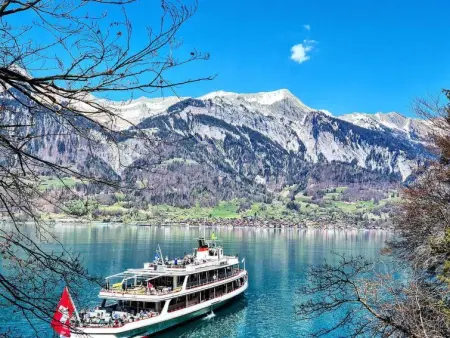 Lilo/Studio, Appartement 3 personnes à Beatenberg - Photo 16