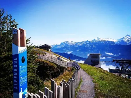 Lilo/Studio, Appartement 3 personnes à Beatenberg - Photo 19