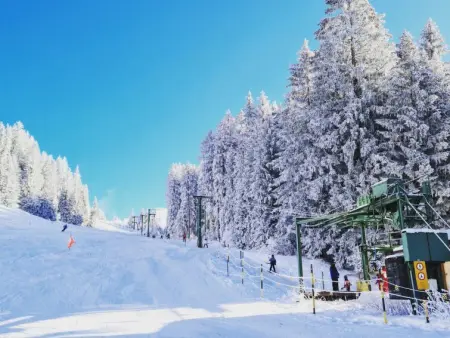 Lilo/Studio, Appartement 3 personnes à Beatenberg - Photo 21