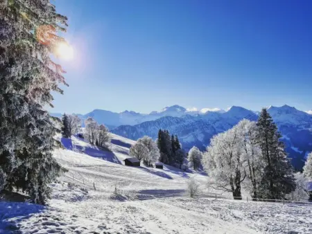 Lilo/Studio, Appartement 3 personnes à Beatenberg - Photo 23