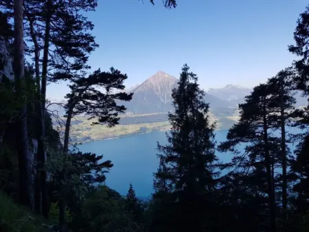 Lilo/2-Zimmer, Appartement 3 personnes à Beatenberg - Photo 22