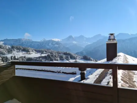 Lilo/2-Zimmer, Appartement 3 personnes à Beatenberg - Photo 25