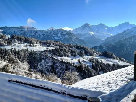 Lilo/2-Zimmer, Appartement 3 personnes à Beatenberg - Photo 26
