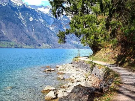 Lilo/4-Zimmer, Appartement 6 personnes à Beatenberg - Photo 24