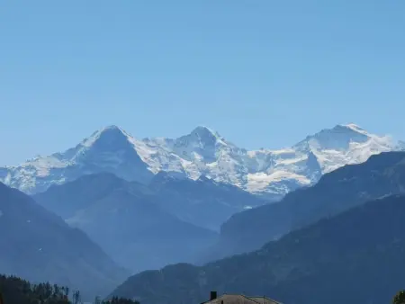 Lilo/4-Zimmer, Appartement 6 personnes à Beatenberg - Photo 26