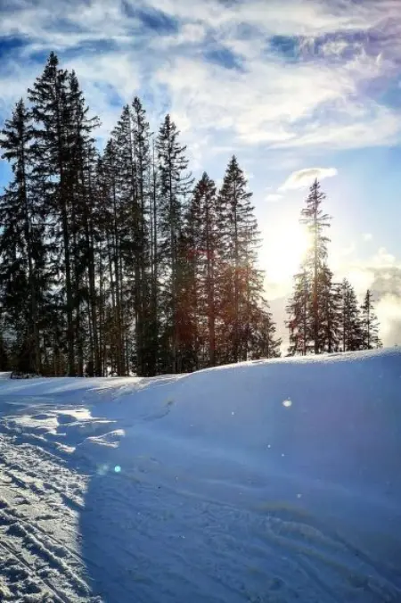 Lilo/4-Zimmer, Appartement 6 personnes à Beatenberg - Photo 31