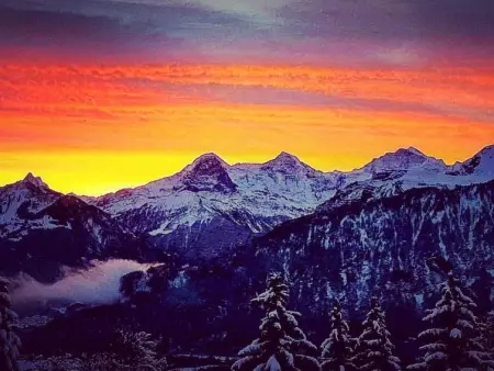 Lilo/4-Zimmer, Appartement 6 personnes à Beatenberg - Photo 32