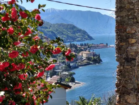 Popa, Appartement 6 personnes à Bellano - Photo 2