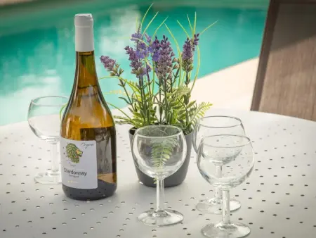 Villa Muguet, Maison 10 personnes à Bagnols en Forêt - Photo 10