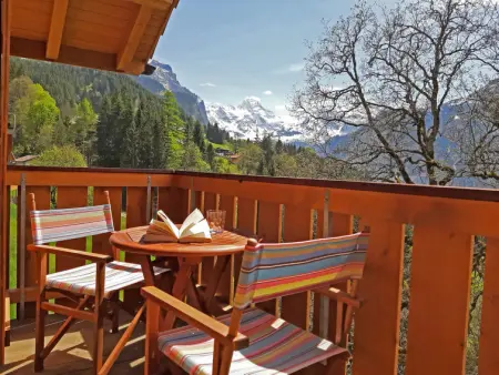 Racer's Retreat Apt.2, Appartement 8 personnes à Wengen - Photo 4