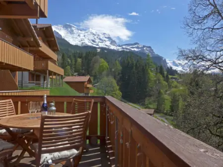 Racer's Retreat Apt.2, Appartement 8 personnes à Wengen - Photo 22