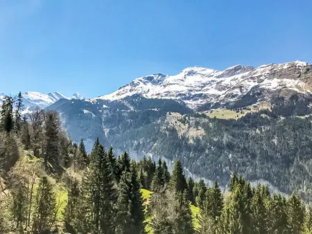 Racer's Retreat Apt.2, Appartement 8 personnes à Wengen - Photo 24