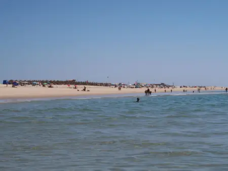 Baia da Fuseta, Maison 8 personnes à Fuseta - Photo 30