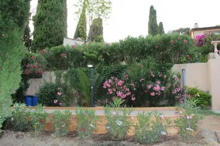 Villa Bellevue, Villa 12 personnes à Vallauris - Photo 35