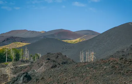 Location Maison 12 personnes à Zafferana Etnea - Photo 40