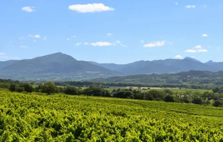 Location Maison 14 personnes à Saint Maurice sur Eygu - Photo 35